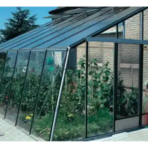 Seinakasvuhoone seinaäärne kasvuhoone