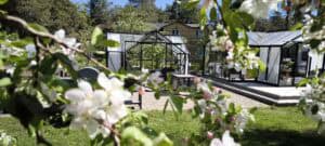 Kasvuhoonekeskus kevadel