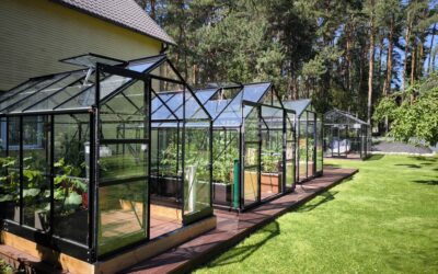 Siltumnīcas nostiprināšana – pamats, pamatne vai pamatnes karkass?